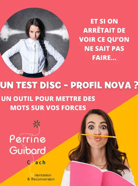 Visuel : un test DISC - Profil Nova ? Un outil pour mettre des mots sur vos forces